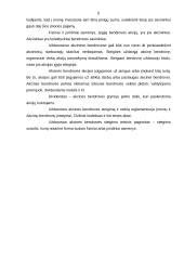Įmonių finansai 5 puslapis