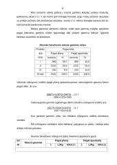 Įmonių finansai 8 puslapis