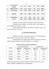 Įmonių finansai 9 puslapis