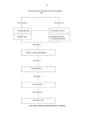 Įmonių finansų valdymas 15 puslapis