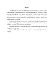 Įmonių finansų valdymas 3 puslapis