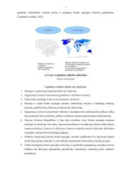 Transportavimo tobulinimas Lietuvos kariuomenėje 6 puslapis