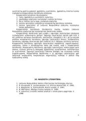 Įmonių grupavimo esmė ir principai 14 puslapis