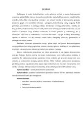 Įmonių konkurencinis pranašumas 2 puslapis