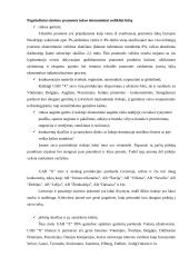 Įmonių konkurencinis pranašumas 17 puslapis