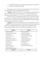 Įmonių konkurencinis pranašumas 20 puslapis