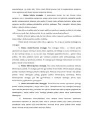 Įmonių konkurencinis pranašumas 6 puslapis