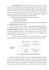 Įmonių konkurencinis pranašumas 10 puslapis