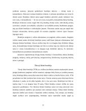 Įmonių ir verslų rūšys 12 puslapis