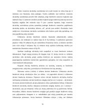 Įmonių ir verslų rūšys 16 puslapis