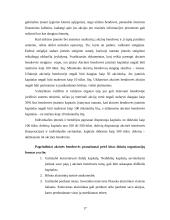 Įmonių ir verslų rūšys 17 puslapis