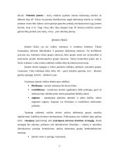 Įmonių ir verslų rūšys 5 puslapis