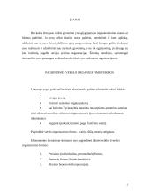 Verslo organizavimo formos ir juridiniai asmenys 2 puslapis