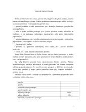 Verslo organizavimo formos ir juridiniai asmenys 4 puslapis