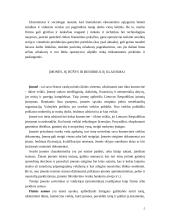 Verslo organizavimo formos ir juridiniai asmenys 5 puslapis