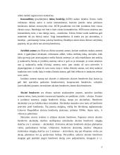 Verslo organizavimo formos ir juridiniai asmenys 8 puslapis