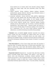 Verslo organizavimo formos ir juridiniai asmenys 10 puslapis