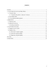 Įmonių santykiai su valstybės bei savivaldybių iždu 2 puslapis