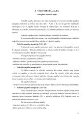 Įmonių santykiai su valstybės bei savivaldybių iždu 13 puslapis