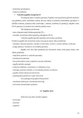 Įmonių santykiai su valstybės bei savivaldybių iždu 14 puslapis