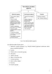 Įmonių santykiai su valstybės bei savivaldybių iždu 7 puslapis