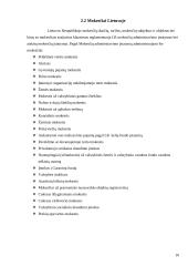 Įmonių santykiai su valstybės bei savivaldybių iždu 10 puslapis