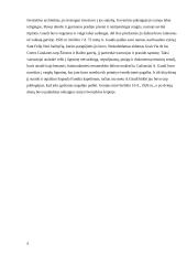 Architektas Antoni Gaudi 4 puslapis