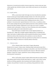 Architektas Antoni Gaudi 9 puslapis