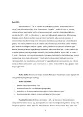 Rusija I pasauliniame kare 2 puslapis