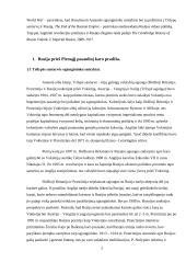 Rusija I pasauliniame kare 3 puslapis