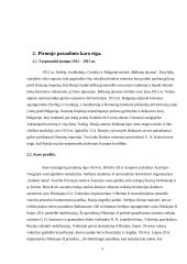 Rusija I pasauliniame kare 5 puslapis