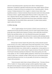 Rusija I pasauliniame kare 8 puslapis