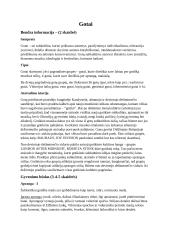 Gotų subkultūros pristatymas