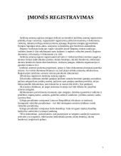 Įmonių steigimo tvarka. Įmonės bankrotas 7 puslapis