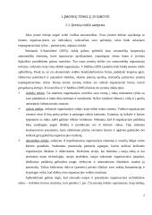 Įmonių tinklai 2 puslapis