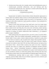 Įmonių tinklai 14 puslapis