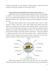 Įmonių tinklai 17 puslapis