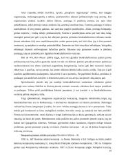 Įmonių tinklai 19 puslapis