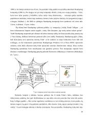 Įmonių tinklai 20 puslapis