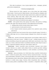 Įmonių tinklai 6 puslapis