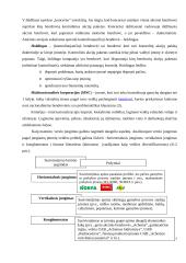 Įmonių tinklai 7 puslapis