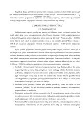 Įmonių tinklai 8 puslapis