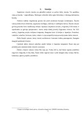 Argentinos gyventojų mitybos ypatumai, maisto vartojimo aspektai bei tradicinių patiekalų asortimentas 6 puslapis