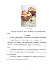 Maisto dizainas ir inovacijos 4 puslapis
