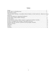 Įmonių tipai ir jų veiklos ypatybės 2 puslapis