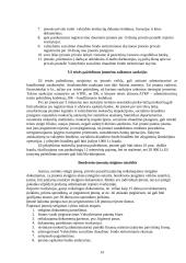 Įmonių tipai ir jų veiklos ypatybės 14 puslapis