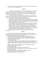 Įmonių tipai ir jų veiklos ypatybės 15 puslapis