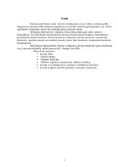 Įmonių tipai ir jų veiklos ypatybės 3 puslapis