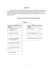 Įmonių tipai ir jų veiklos ypatybės 4 puslapis