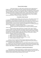 Įmonių tipai ir jų veiklos ypatybės 6 puslapis